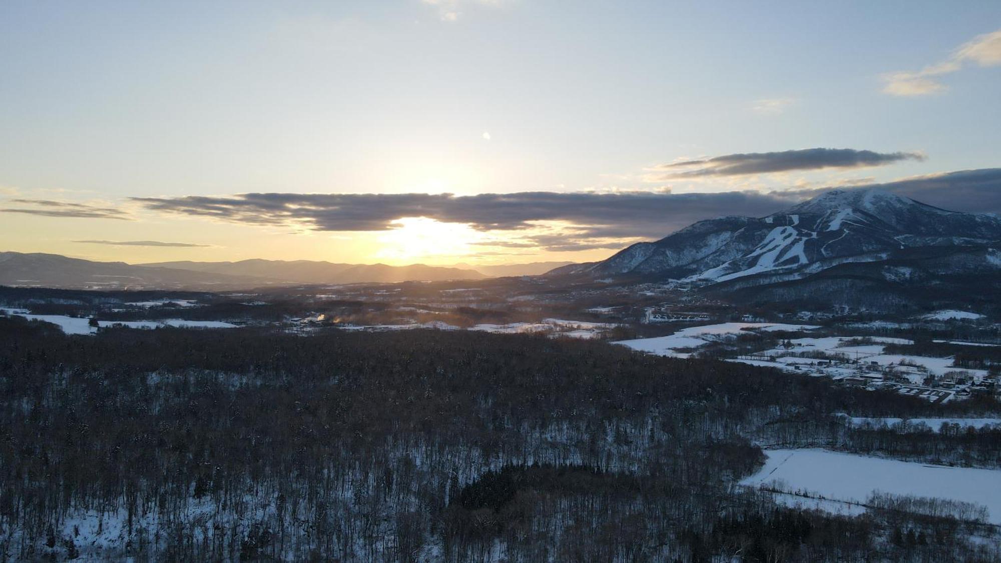 Niseko Purr 201 *